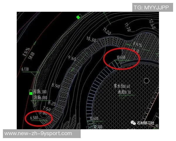 如何用CAD软件绘制精美的足球图案详细步骤解析
